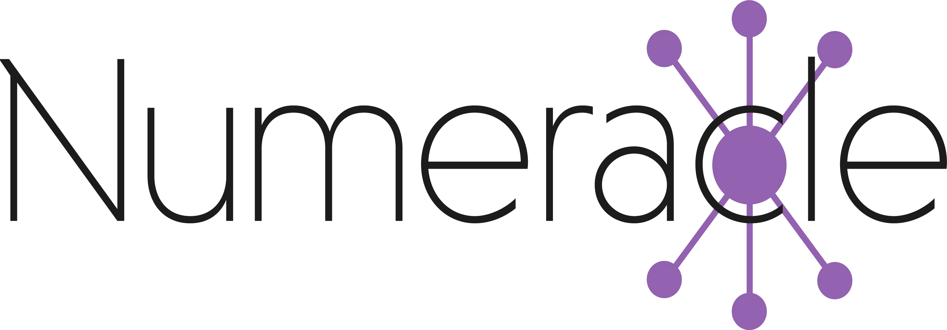 Numeracle Company Logo