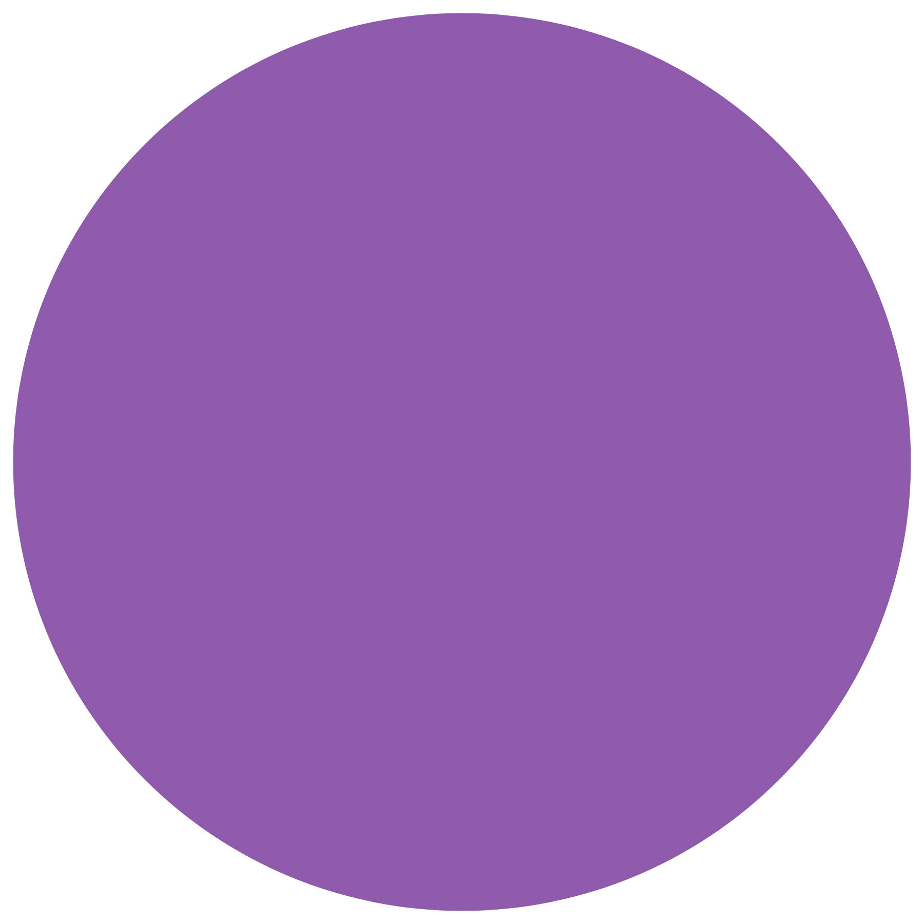 Numeracle Primary Color Purple